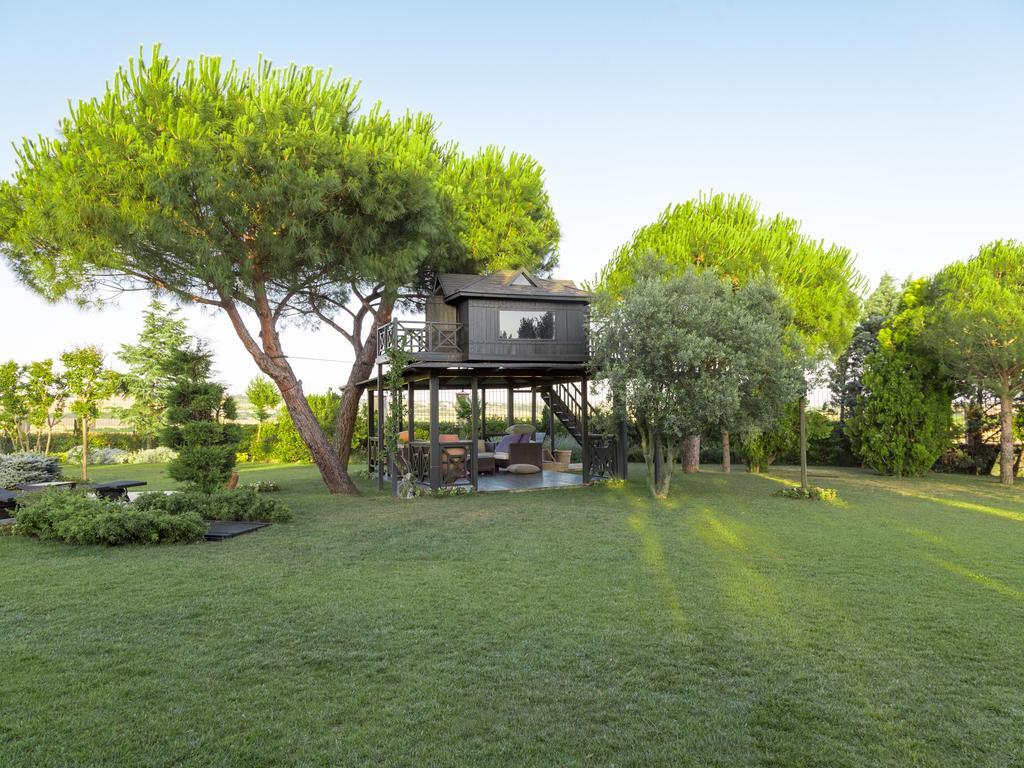 Grandma's Wonderland Pension Gazitepekoy Buitenkant foto
