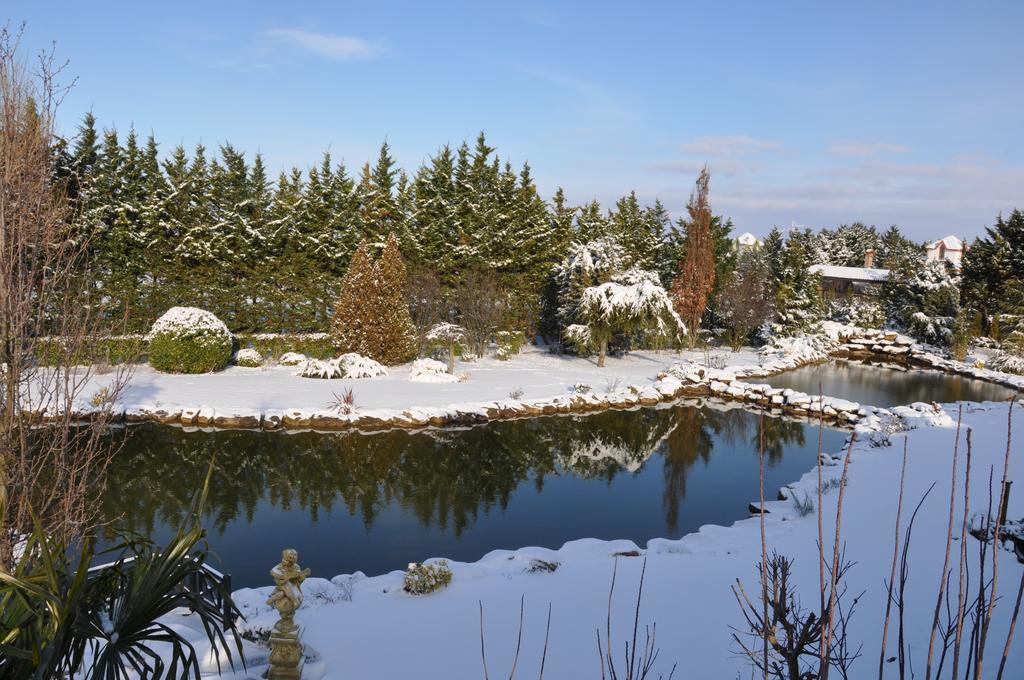 Grandma's Wonderland Pension Gazitepekoy Buitenkant foto