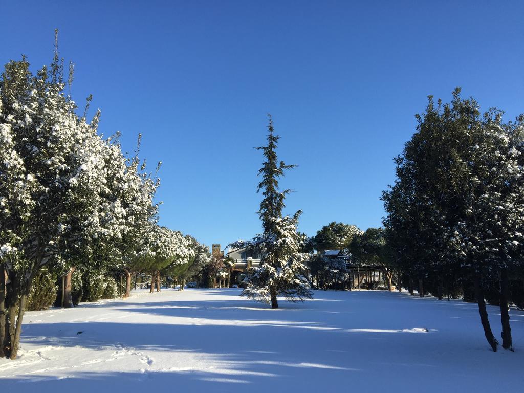 Grandma's Wonderland Pension Gazitepekoy Buitenkant foto