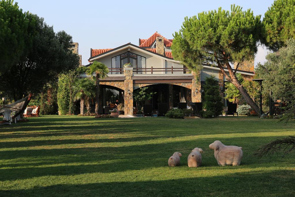 Grandma's Wonderland Pension Gazitepekoy Buitenkant foto